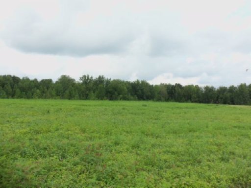 Lot 3 Baxter Road Baxter, TN 38544 - Photo 4 of 12 Additional Photo