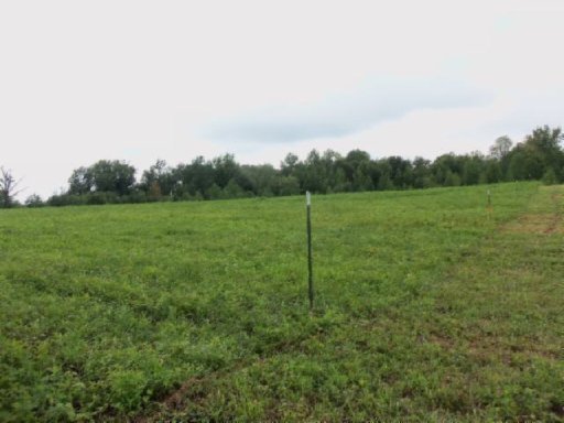 Lot 3 Baxter Road Baxter, TN 38544 - Photo 8 of 12 Additional Photo