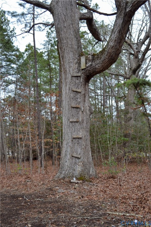13006 Hensley Road Midlothian, VA 23112 - Photo 58 of 58