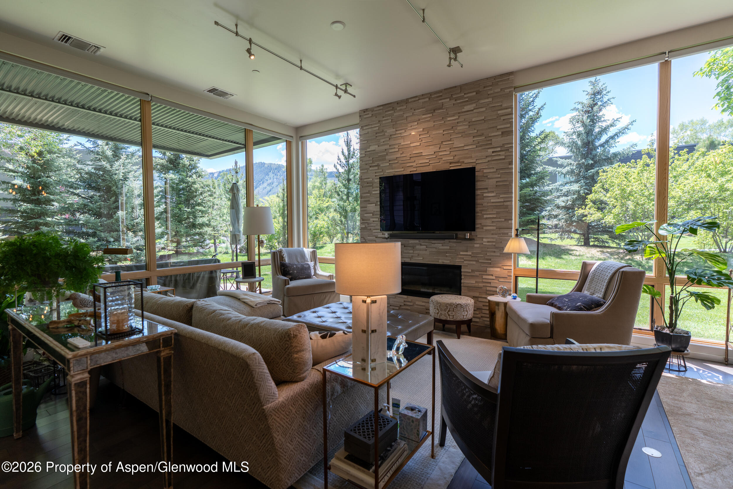 102 Evans Road, Unit 101 Basalt, CO 81621 - Photo 3 of 15 living