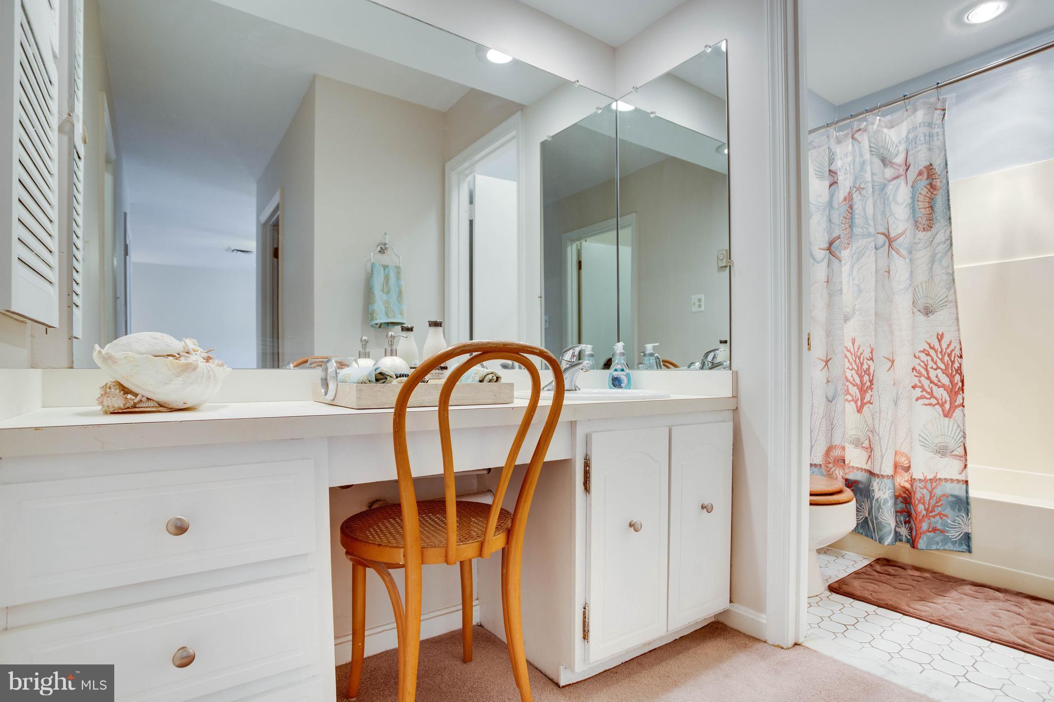 11633 Rivershore Drive Dunkirk, MD 20754 - Photo 23 of 29 a bathroom with a sink and a mirror