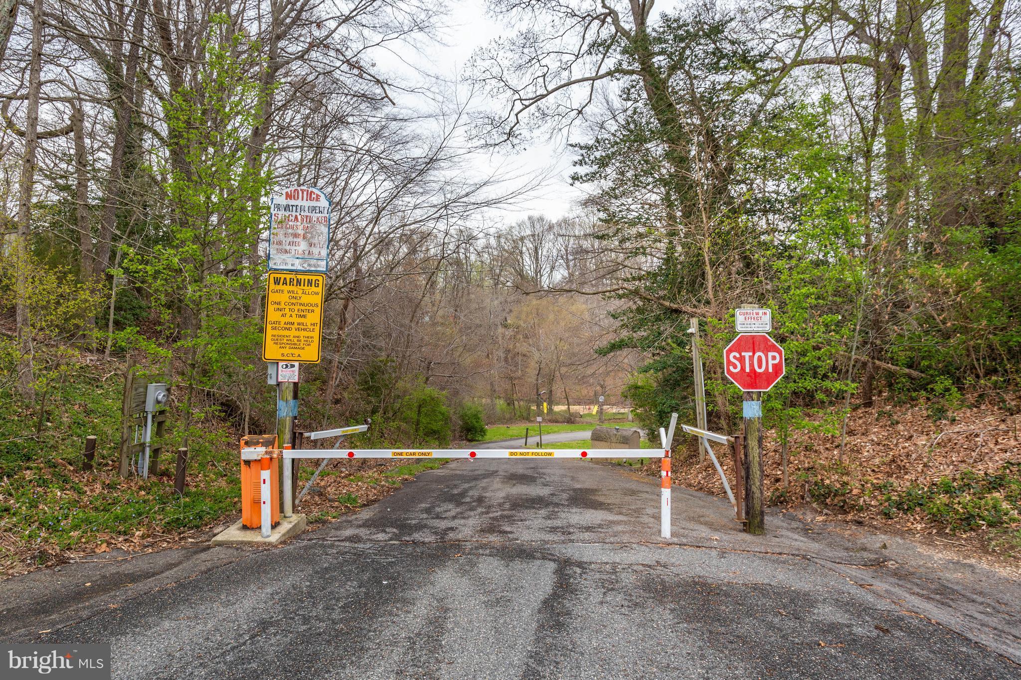 11633 Rivershore Drive Dunkirk, MD 20754 - Photo 26 of 29 a view of street with large trees