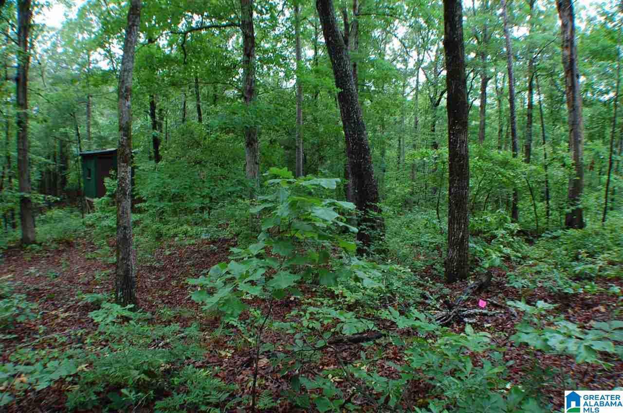 950 County Road 478, Unit 1 Clanton, AL 35046 - Photo 30 of 31