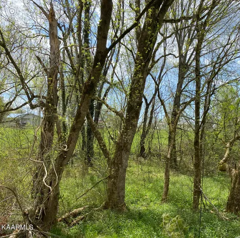 $12,000 | Tbd Vista View Drive, Ewing, VA 24248