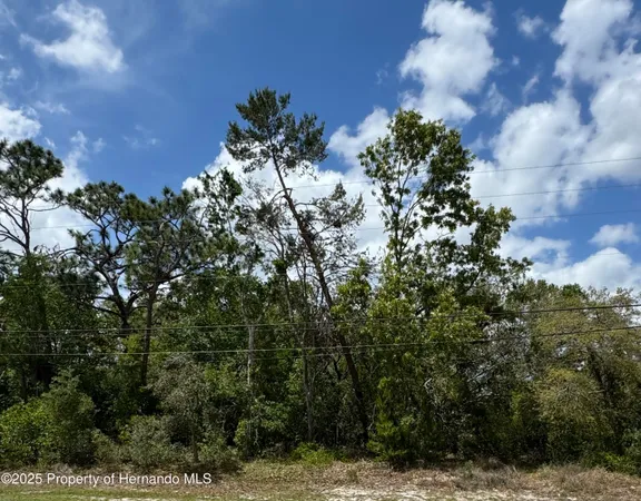 $75,000 | . Waterfall Drive, Spring Hill, FL 34608