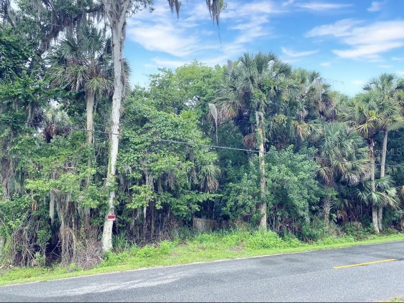 Black Hammock Oviedo, FL 32765 - Photo 1 of 1