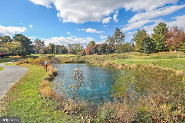 a view of a tennis ground with large trees