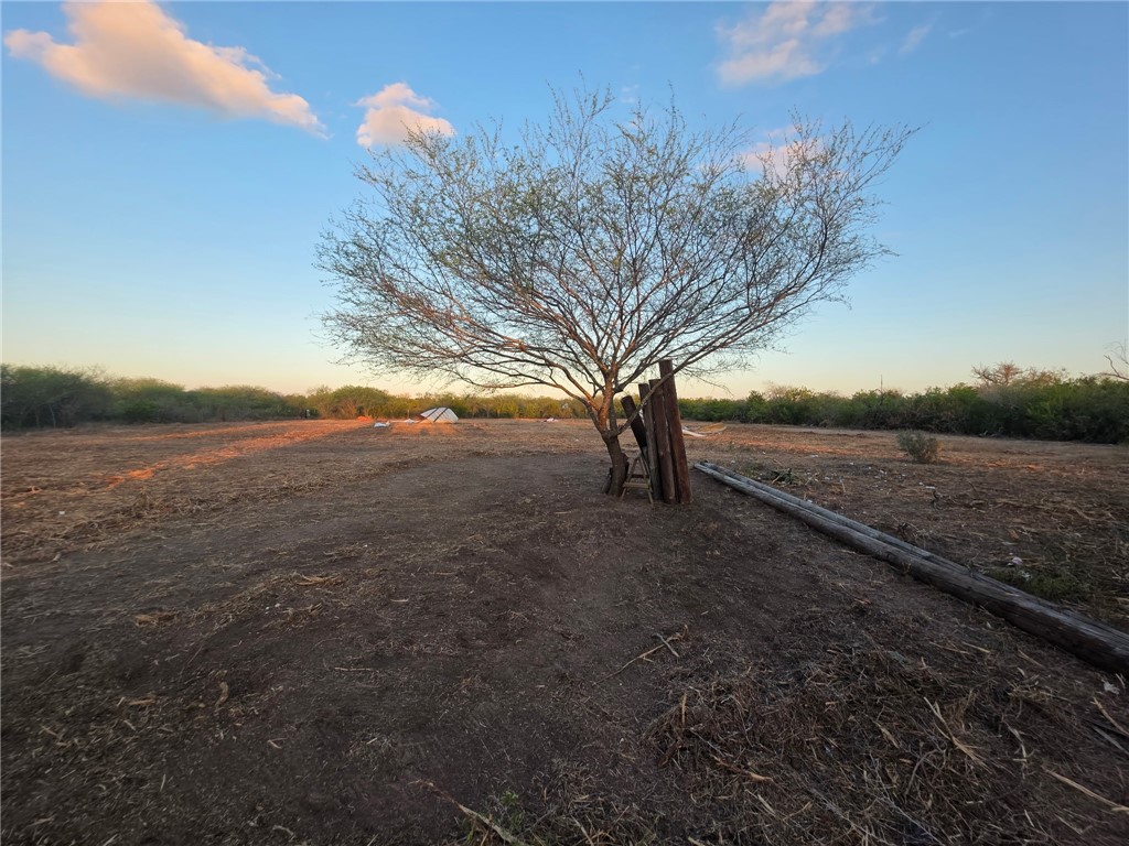 376 County Road 382 Alice, TX 78332 - Photo 2 of 2 a view of outdoor space and yard