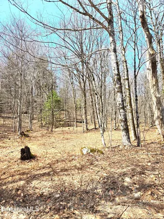 $59,000 | 29 Moores Road, Florida, MA 01247