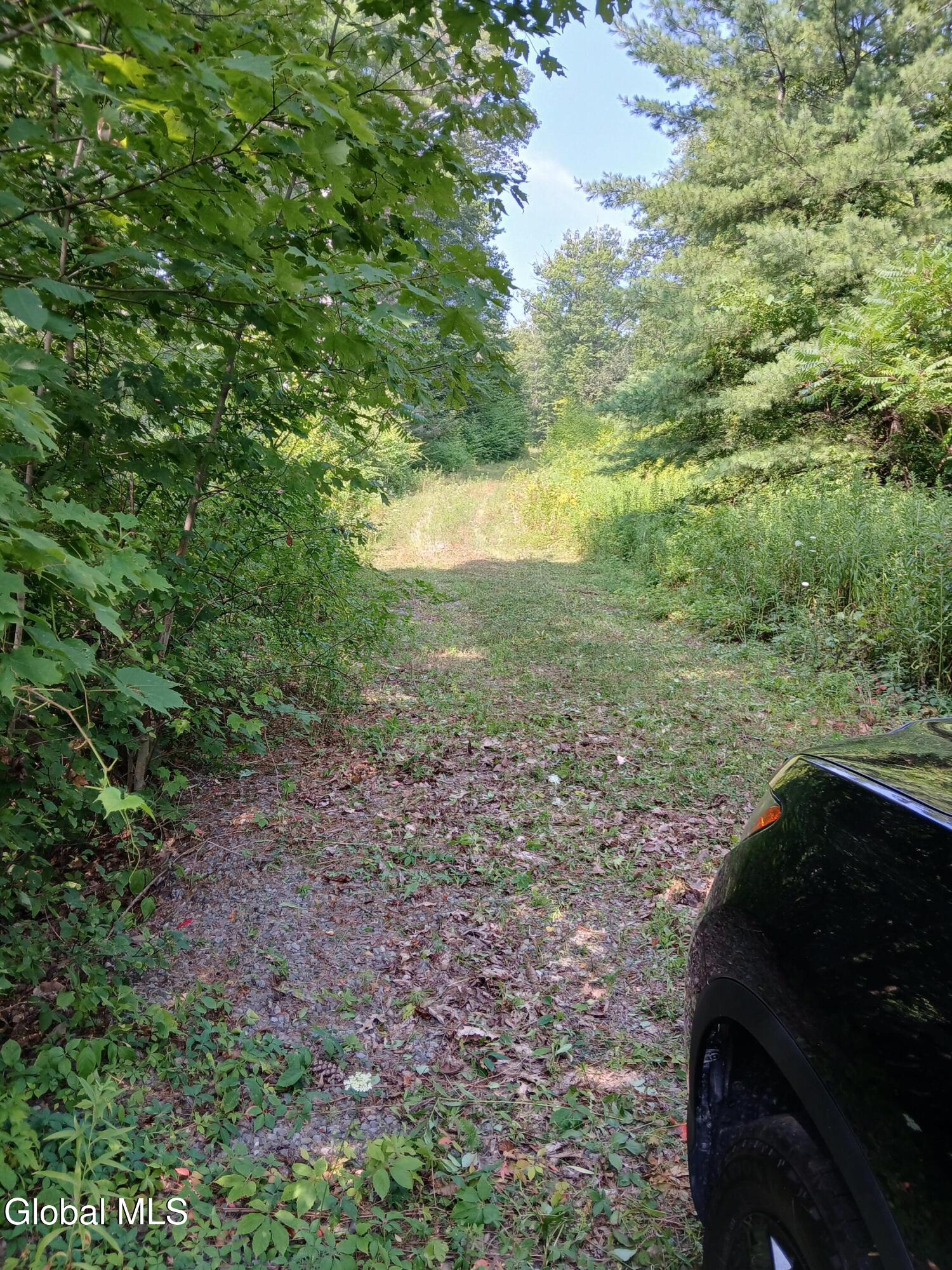 2468 Indian Fields Road New Scotland, NY 12067 - Photo 2 of 2 20250726_102459