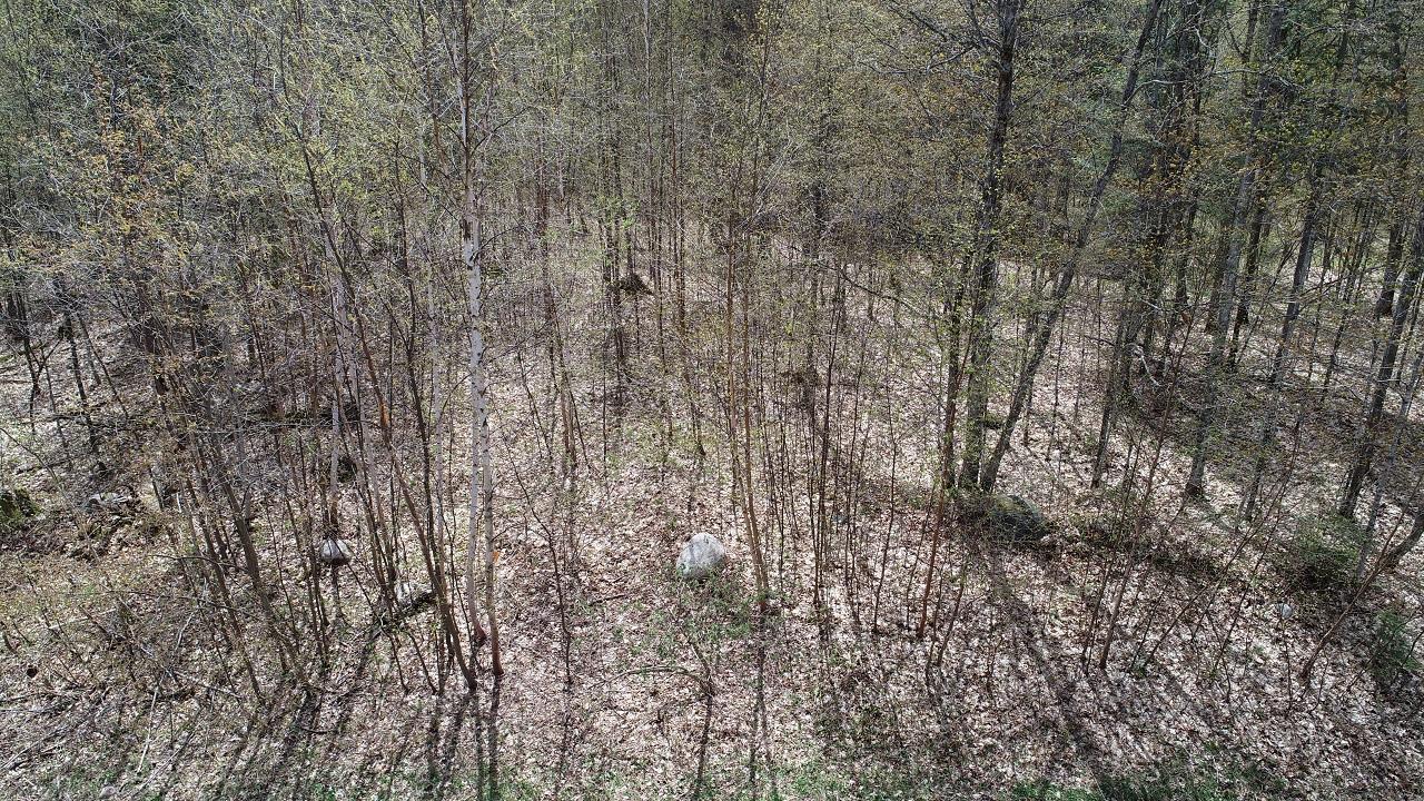 4890 Delich Road Mercer, WI 54547 - Photo 38 of 40 Gallery Image 38
