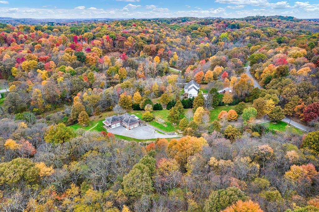 a view of a garden with an tree