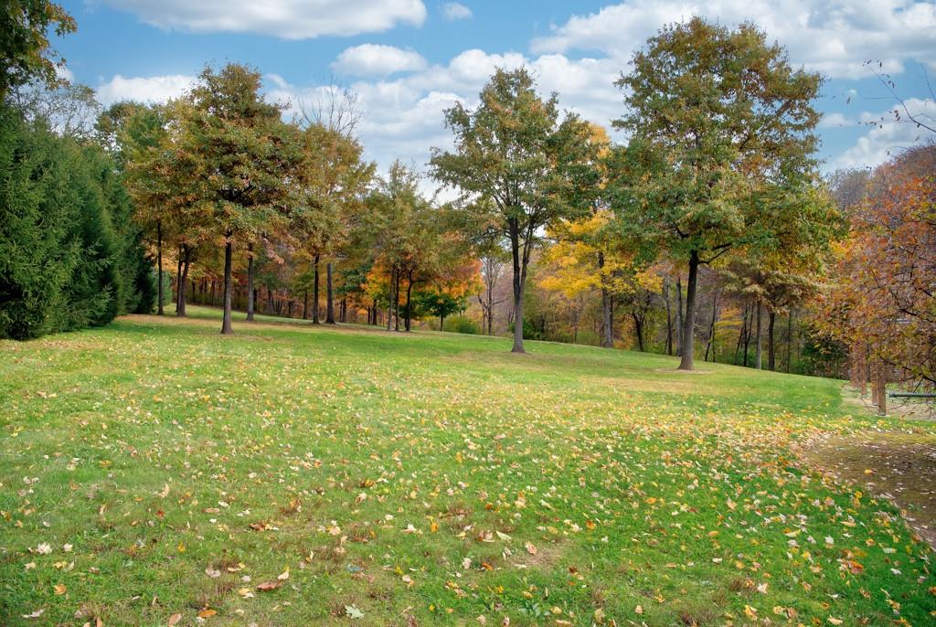 116 West Cruikshank Road Butler, PA 16002 - Photo 24 of 25 a view of a field with trees in the background