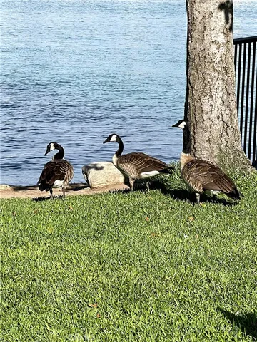 $5,000 | 3 Rushingwind, Unit 4, Irvine, CA 92614