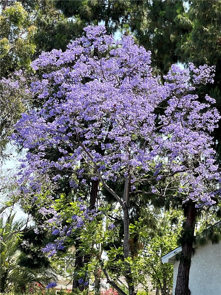 3 Rushingwind, Unit 4 Irvine, CA 92614 - Photo 25 of 34