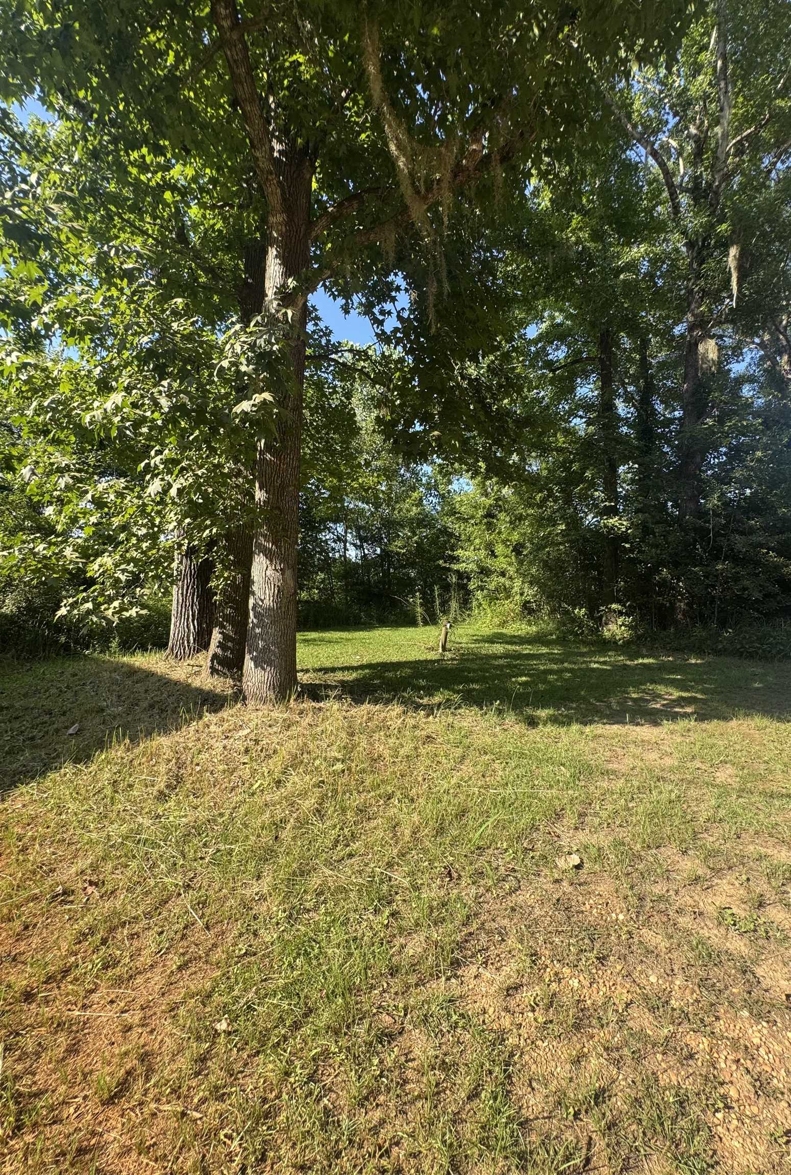 64 Eureka Landing Road Uriah, AL 36480 - Photo 4 of 5