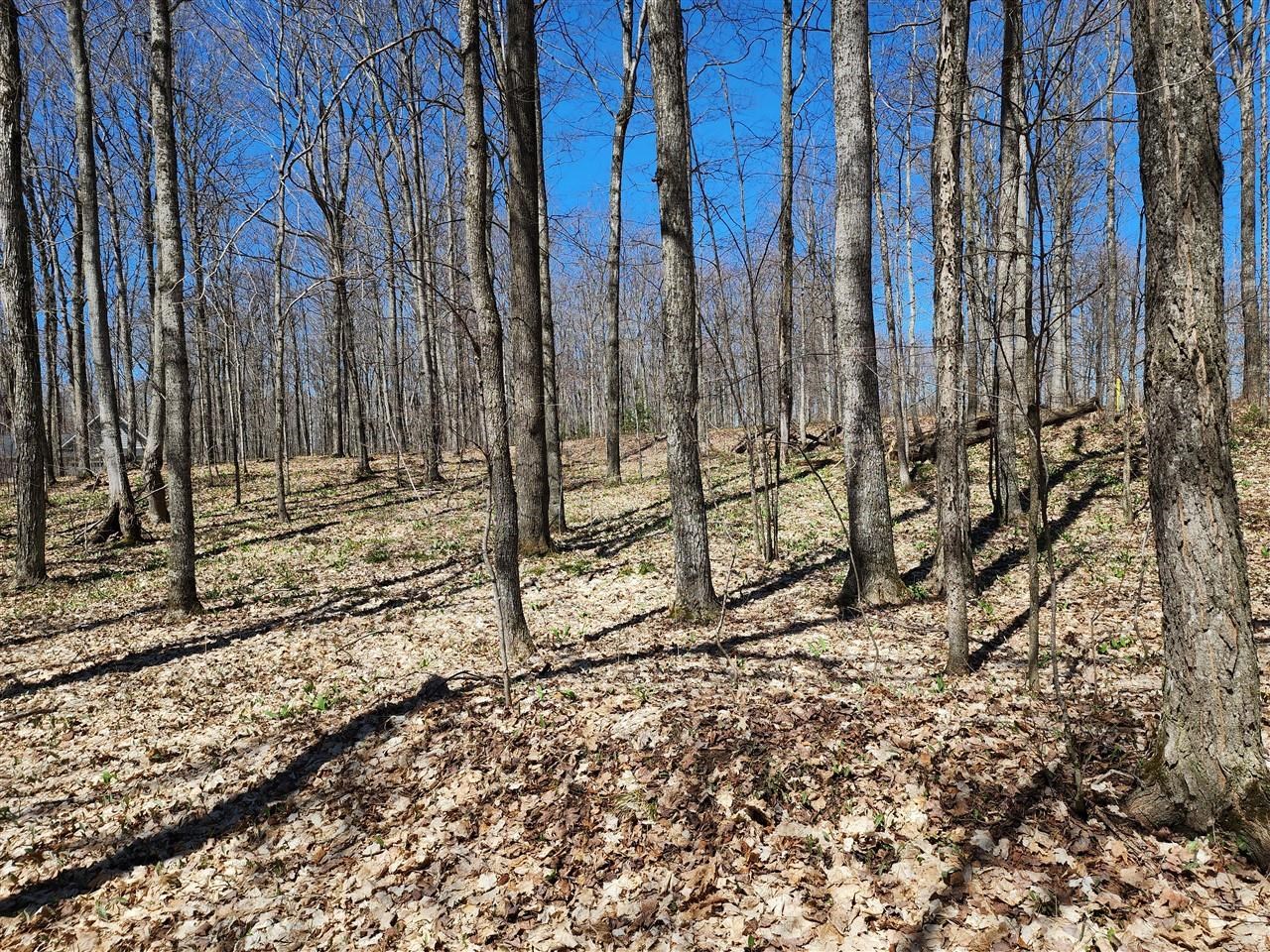 34 Goshawk Ridge Traverse City, MI 49684 - Photo 9 of 21
