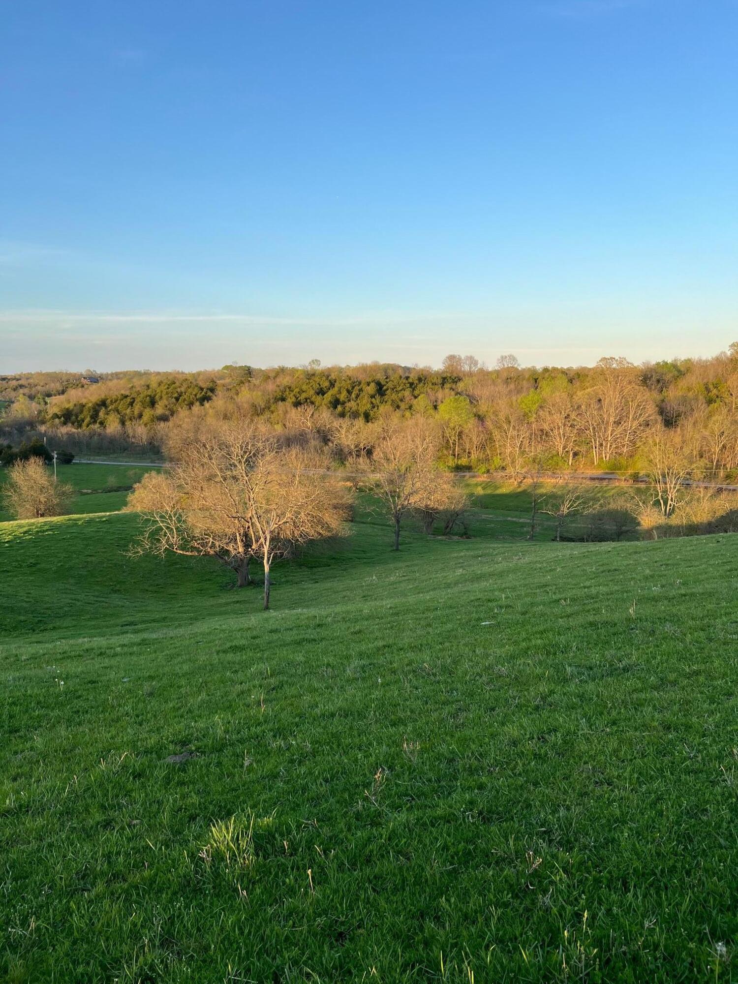 1822 Locust Fork Road Stamping Ground, KY 40379 - Photo 53 of 56 IMG_5995