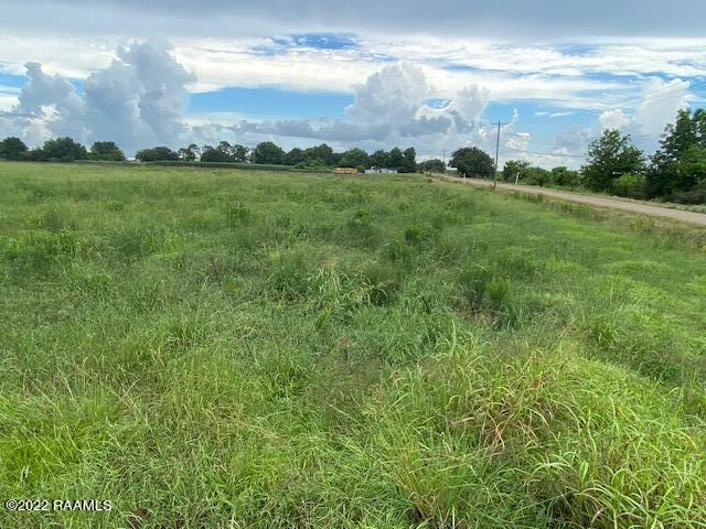 Tbd College Road Jeanerette, LA 70544 - Photo 3 of 8 IMG_6204