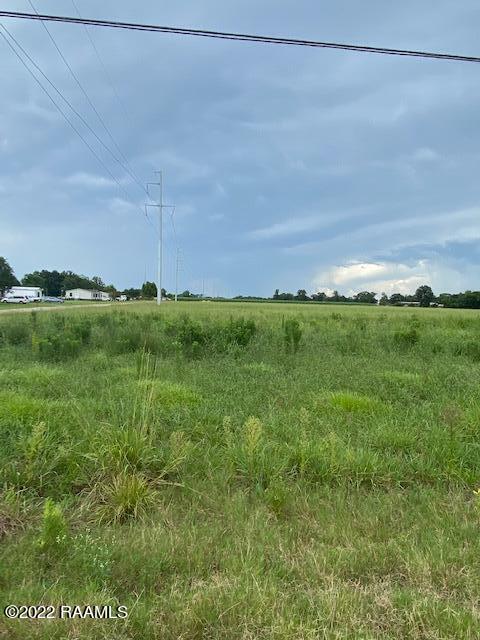 Tbd College Road Jeanerette, LA 70544 - Photo 6 of 8 IMG_6209