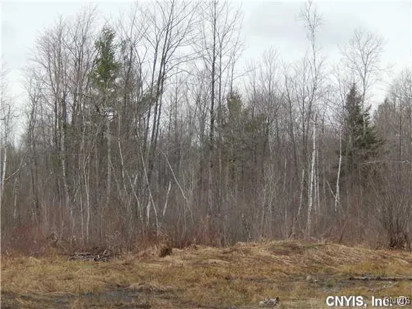 $74,900 | 24365 Hickey Road, Wilna, NY 13619