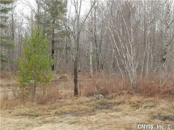 $74,900 | 24365 Hickey Road, Wilna, NY 13619