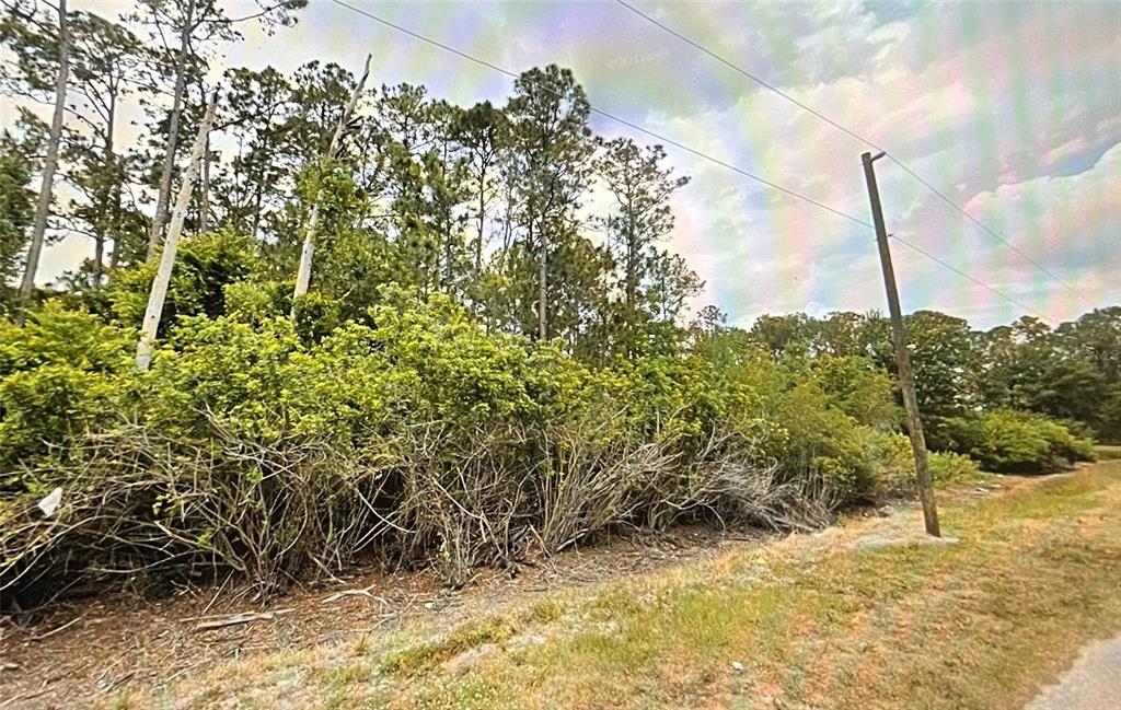 1601 Riley Avenue Sebring, FL 33872 - Photo 1 of 1 Gallery Image 1