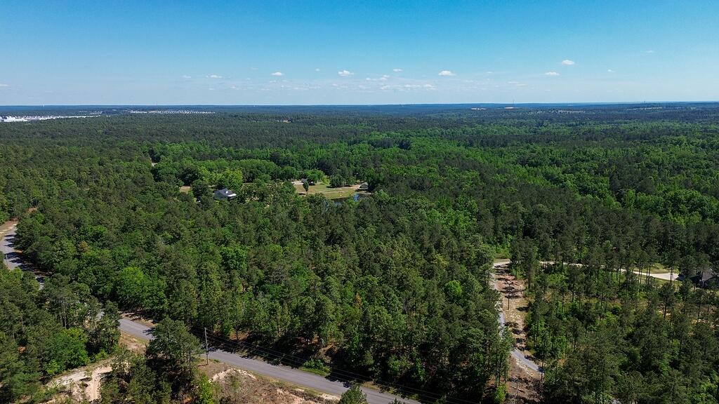 0 Mt Zion Road, Unit 5 Trenton, SC 29847 - Photo 3 of 26