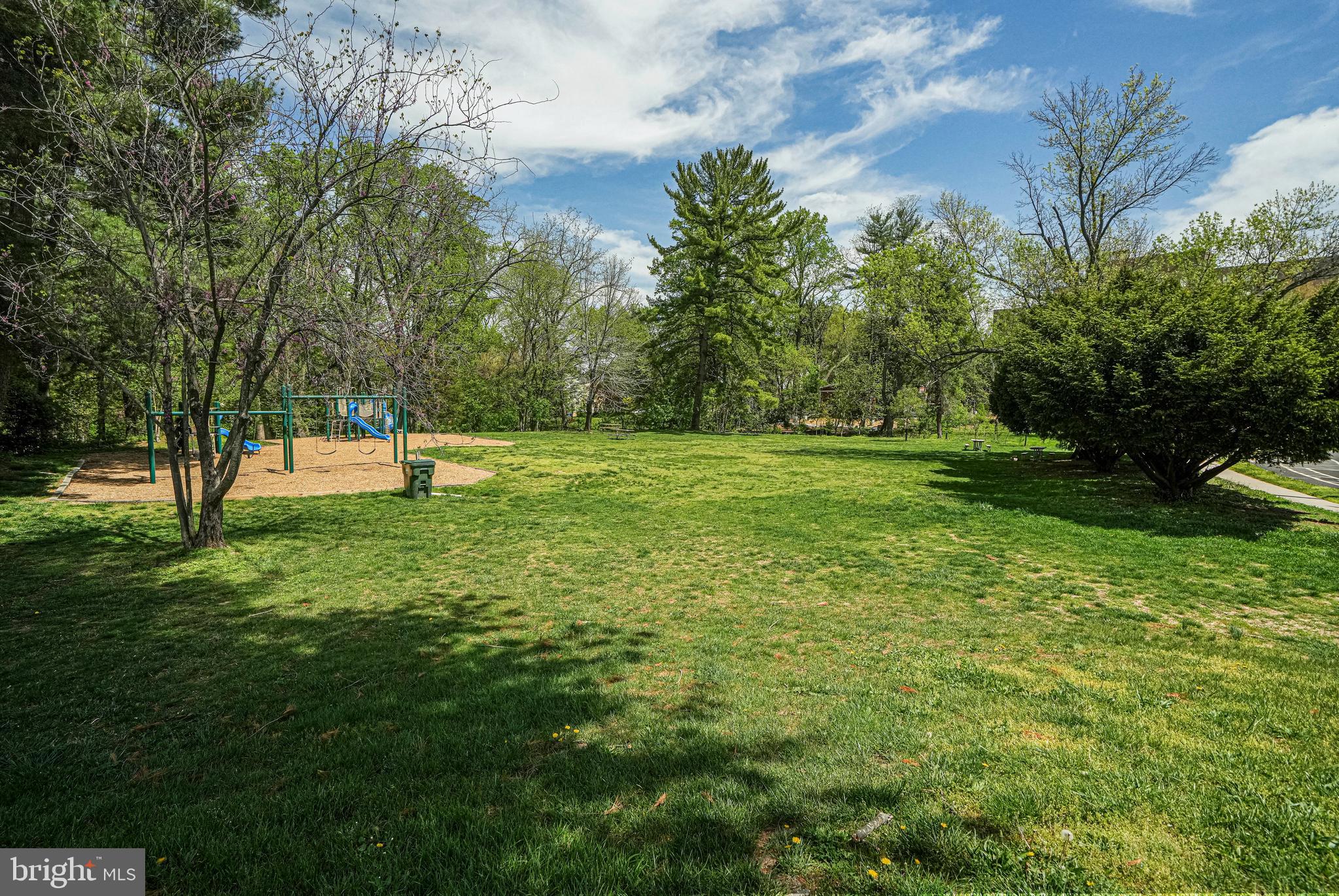 8872 Woodland Drive Silver Spring, MD 20910 - Photo 44 of 47 a view of a big yard with a tree