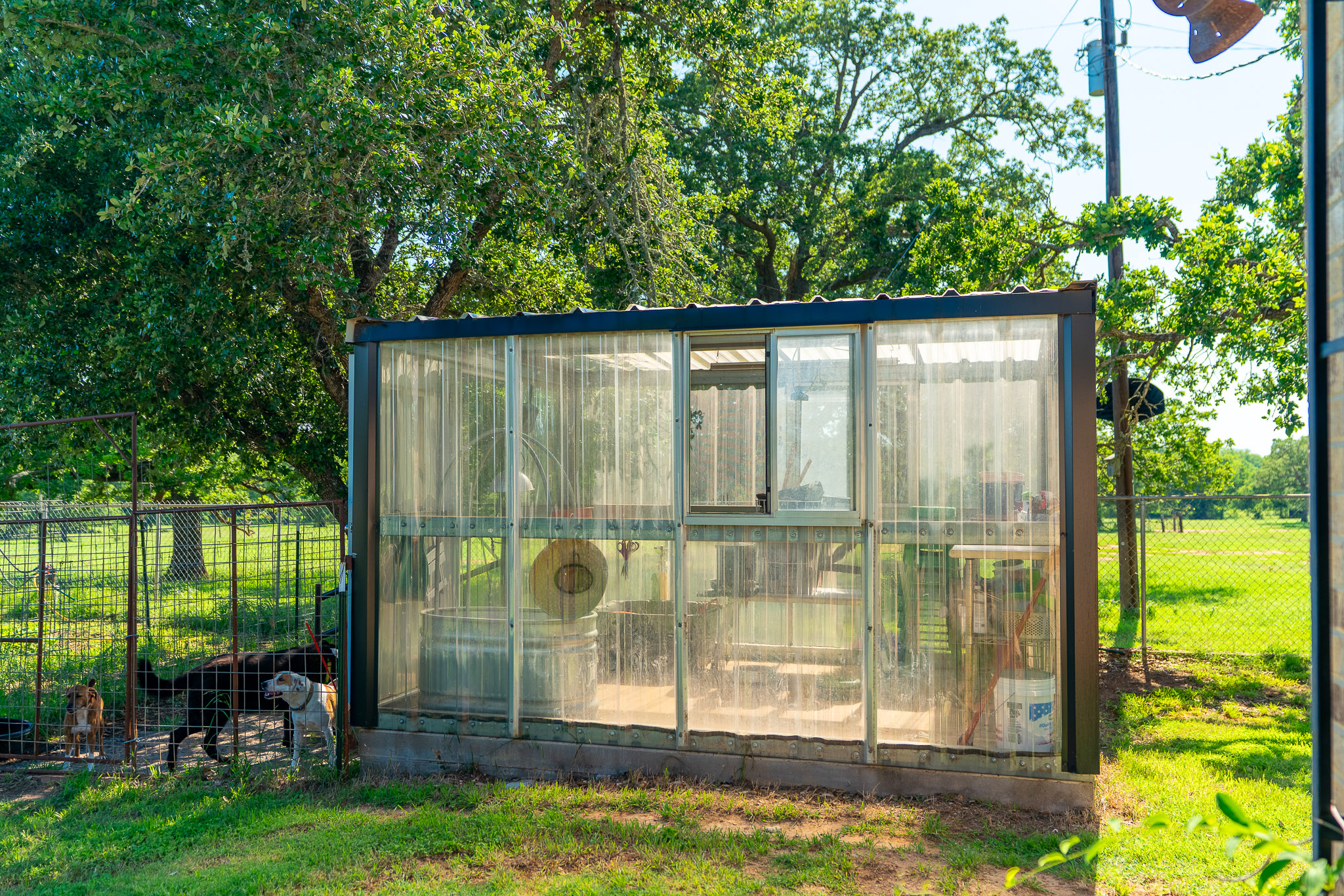400 619th Spur Elgin, TX 78621 - Photo 32 of 40 Cultivate your green thumb with this charming greenhouse nestled in a serene backyard setting.