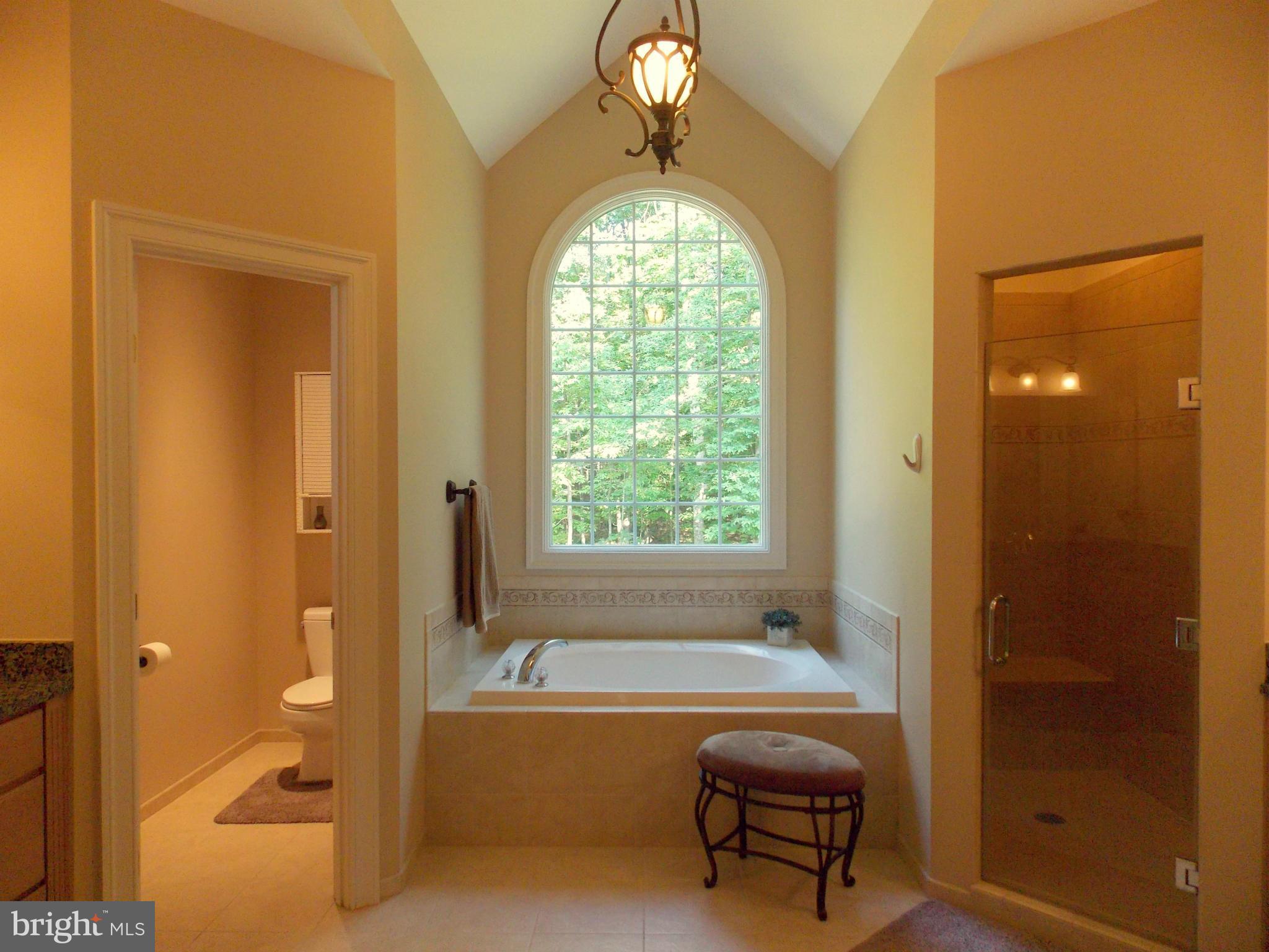 9587 Ada Road Marshall, VA 20115 - Photo 19 of 30 Master Bathroom