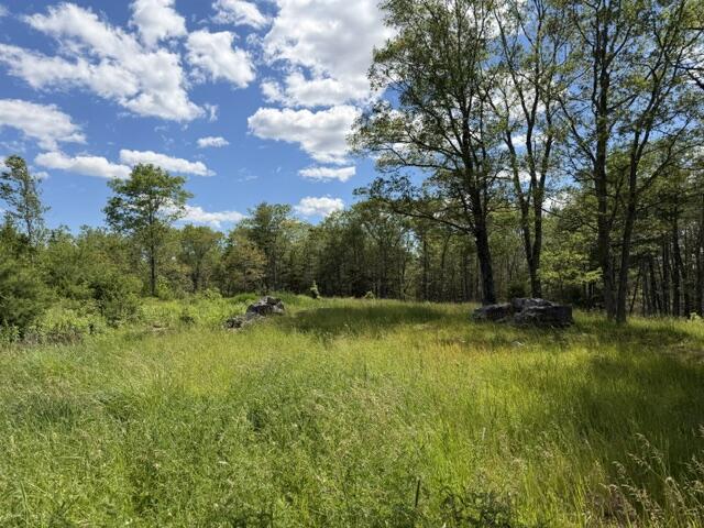 306 Cross Point Road, Unit AREAR LOT Edgecomb, ME 04556 - Photo 6 of 19 IMG_5105