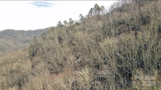 a view of a dry yard