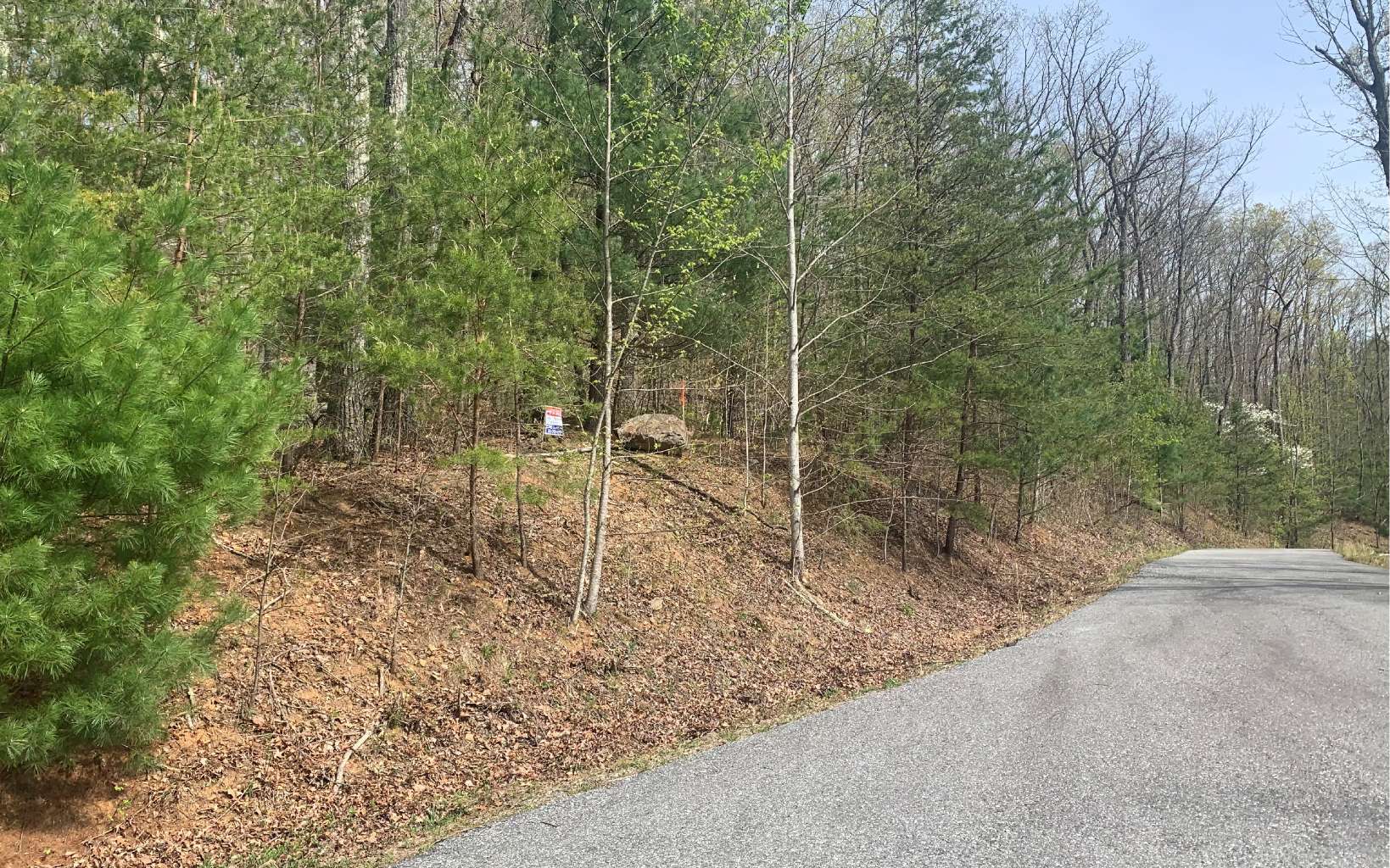21 Red Twig Road Blairsville, GA 30512 - Photo 3 of 15 Additional View