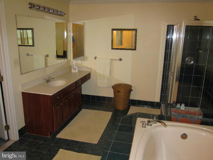 15005 Turkey Foot Road Darnestown, MD 20878 - Photo 4 of 29 Bath (Master)