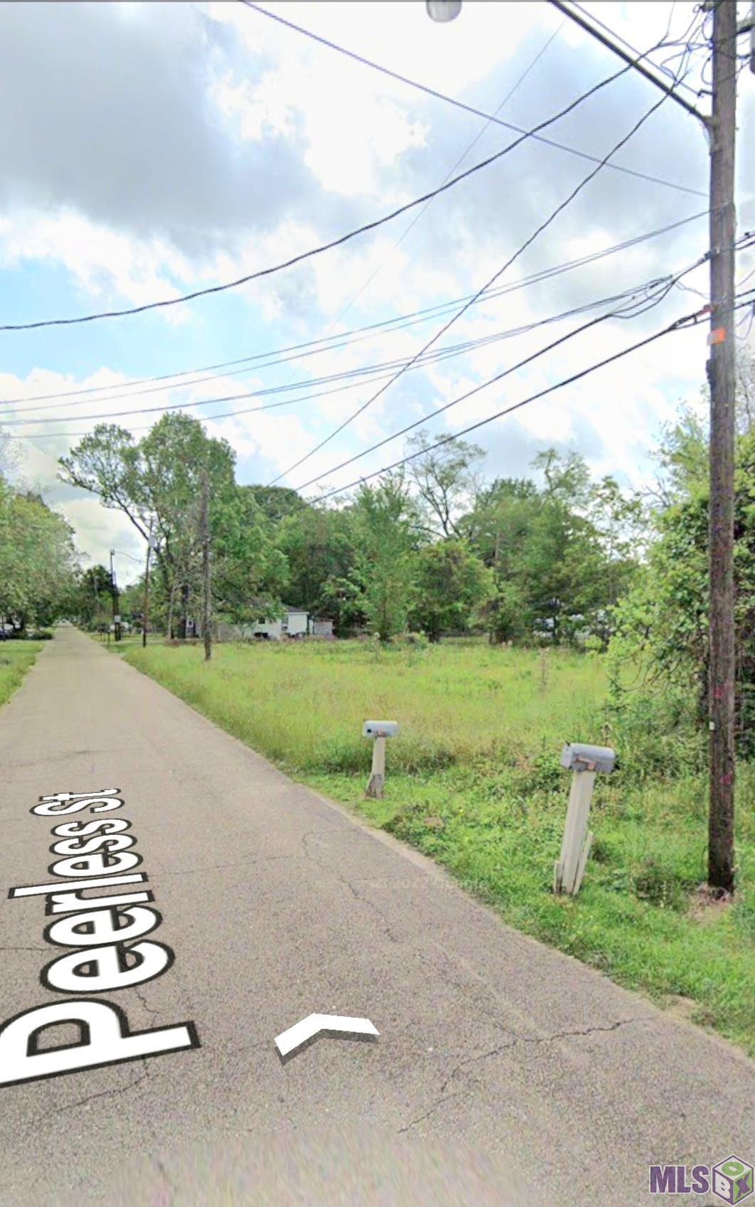 Lot 2 Peerless Street Baton Rouge, LA 70811 - Photo 4 of 5 Gallery Image 4