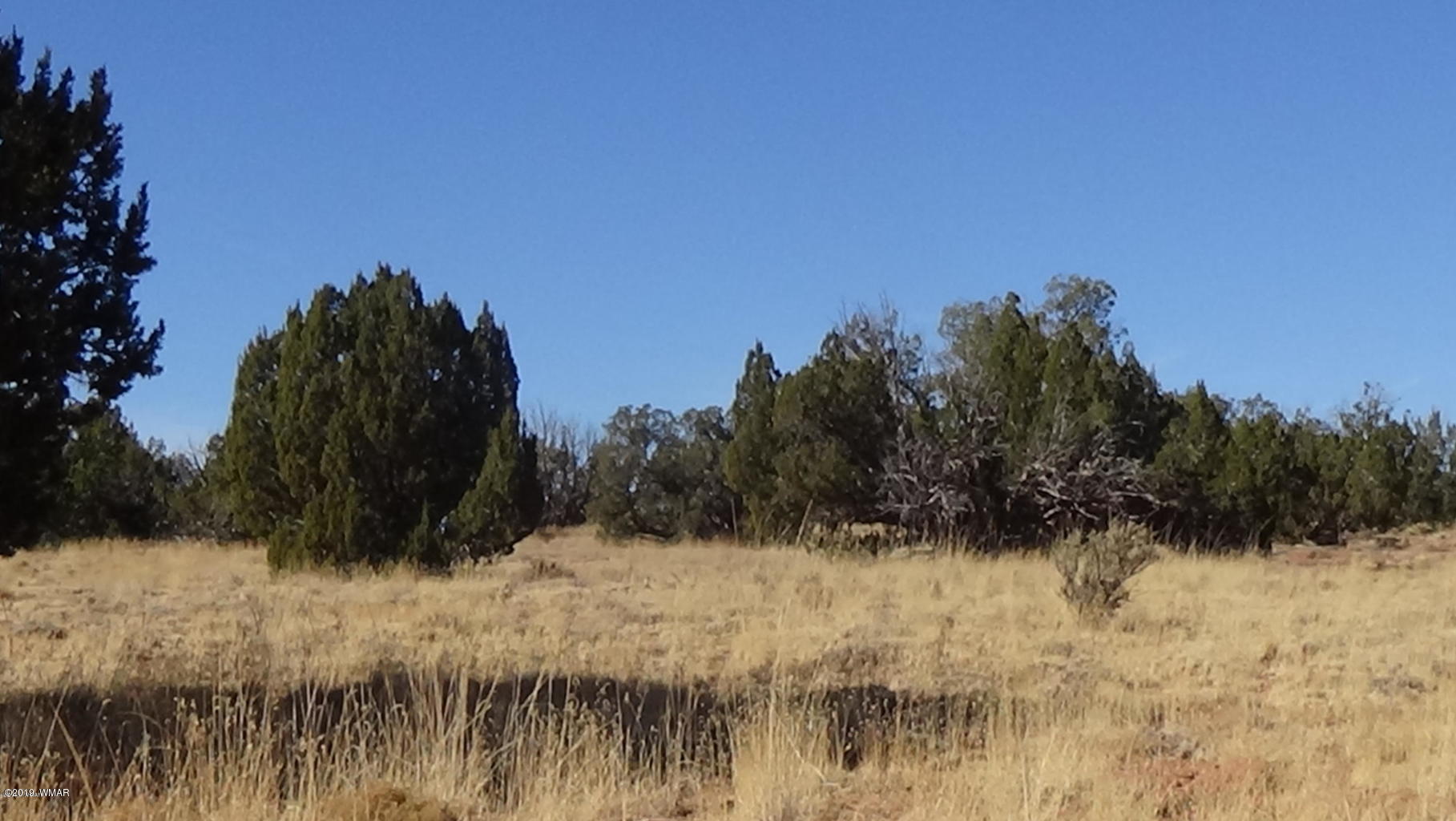 01 Heber Az 85928 Heber, AZ 85928 - Photo 5 of 5