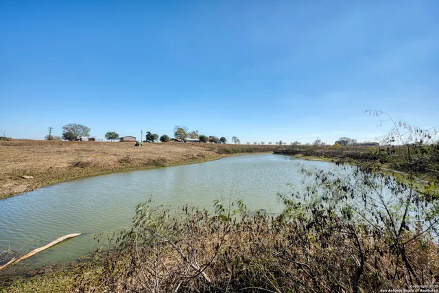 a view of a dry yard with trees in the background