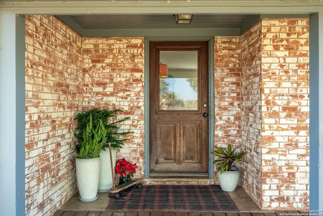 a potted plant sitting in front of a door