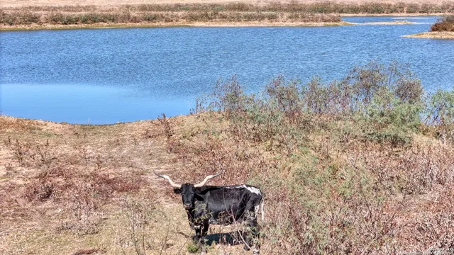 $750,000 | 8646 FM 155, La Grange, TX 78945