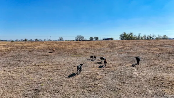 $675,000 | 8646 FM 155, La Grange, TX 78945