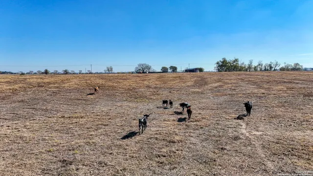 $750,000 | 8646 FM 155, La Grange, TX 78945