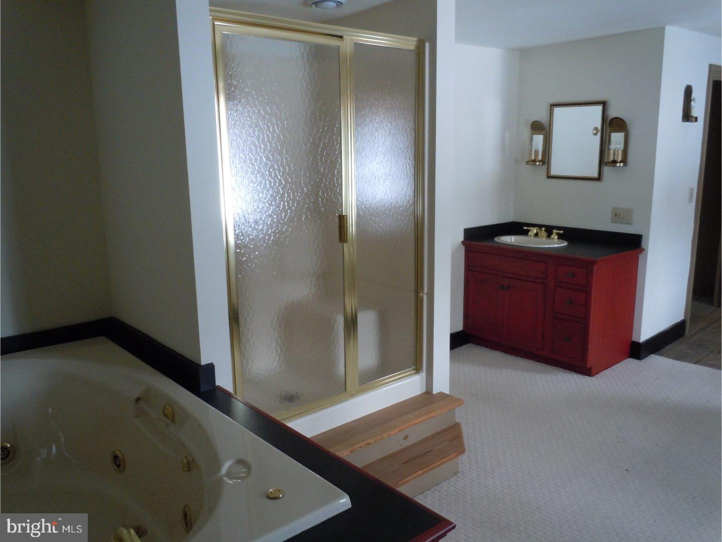 274 Charming Forge Road Womelsdorf, PA 19567 - Photo 18 of 25 Bathroom