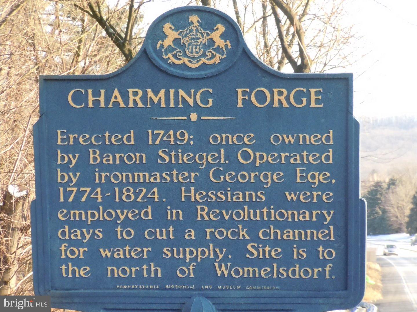 274 Charming Forge Road Womelsdorf, PA 19567 - Photo 20 of 25