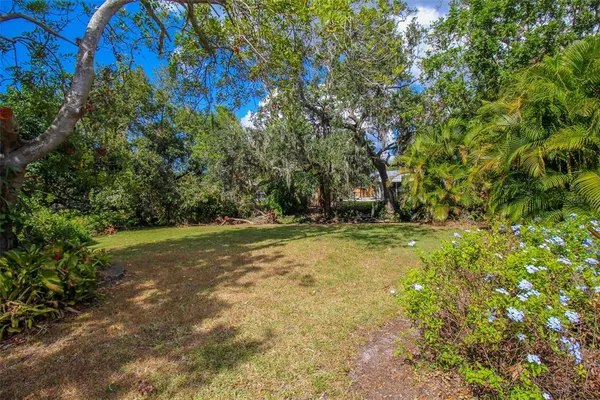a view of a yard with a tree