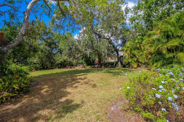 a view of a yard with a tree