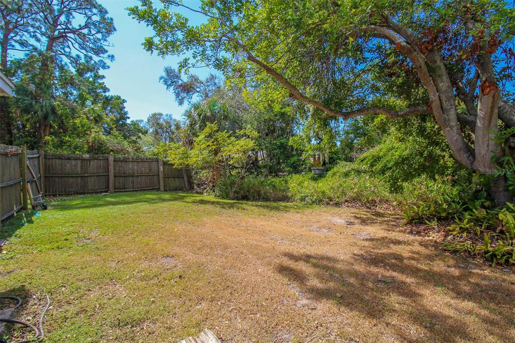 3223 Rowena Street Sarasota, FL 34231 - Photo 48 of 51 a view of a yard with a tree