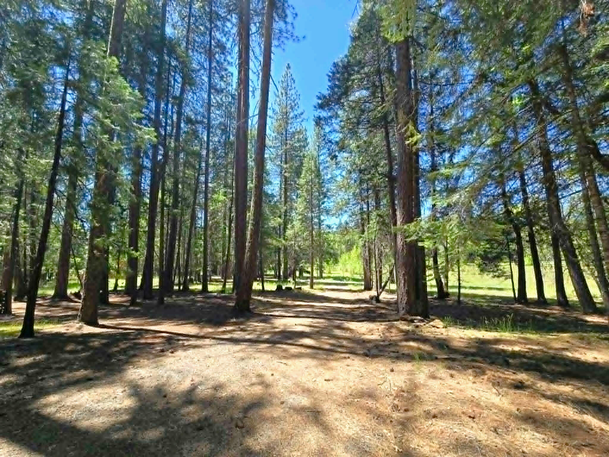 836 Ulrich Road Prospect, OR 97536 - Photo 41 of 47 a view of a building with trees