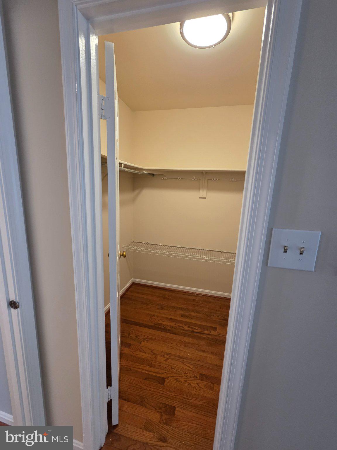 7229 Olde Lantern Way Springfield, VA 22152 - Photo 29 of 32 Spacious closet with modern lighting.
