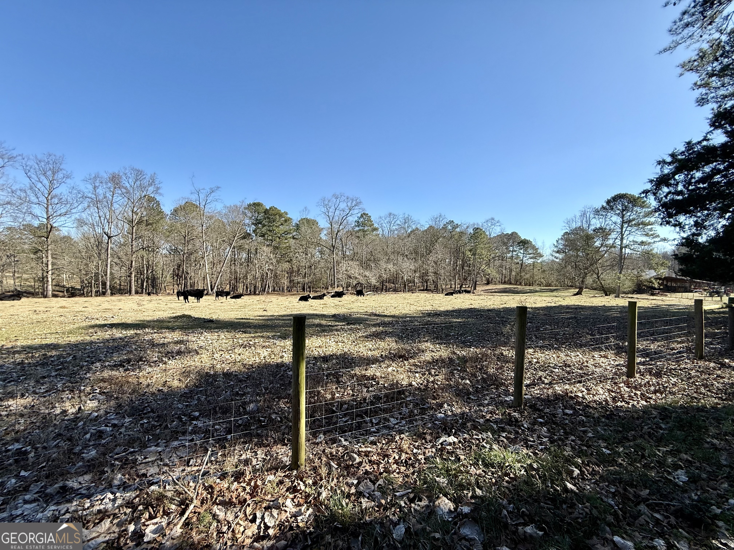 1120 Kansas Jake Road Waco, GA 30182 - Photo 40 of 42